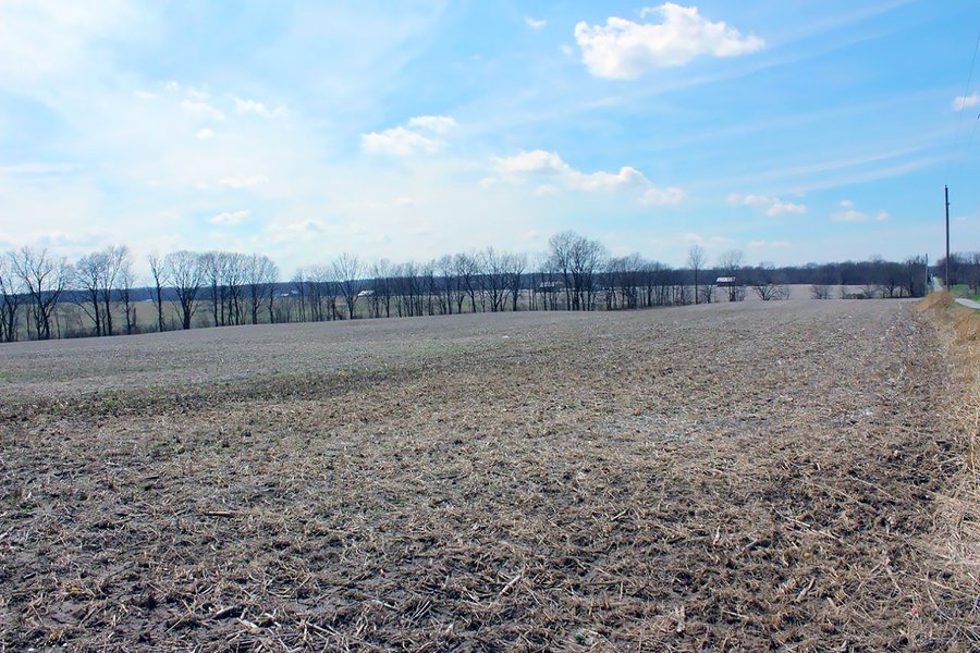 REAL ESTATE AUCTION - 17.62+/- ACRES OFFERED IN 2 TRACTS